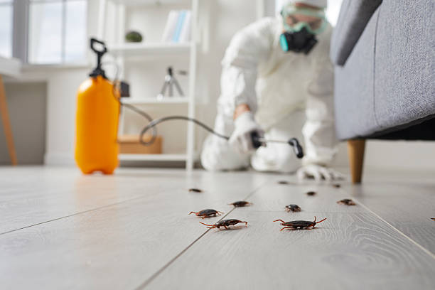 Commercial Kitchen Cockroach Control in Jamestown West